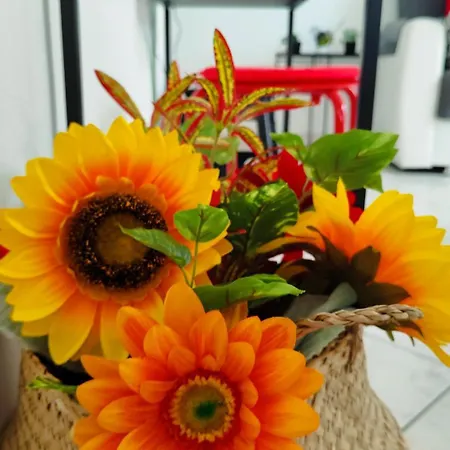 Petite Maison Pescara