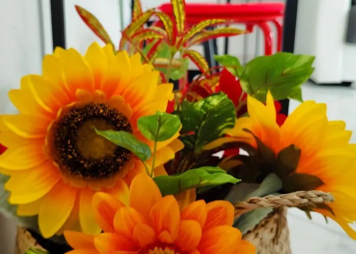 Petite Maison ペスカーラ